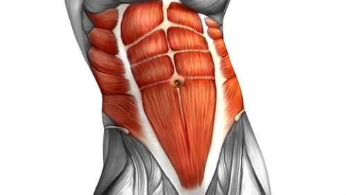 ejercicios para abdominales