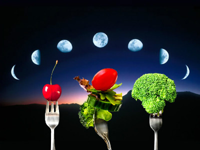 Que es la dieta de la luna