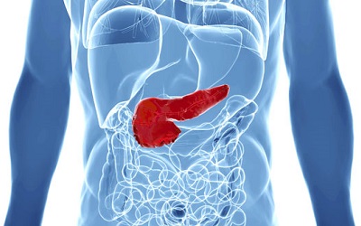 Pancreas Glucosa Basal