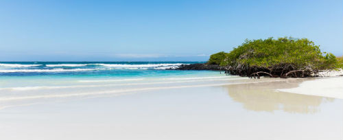 Playa de Galapagos en Bahia Tortuga Ecuador