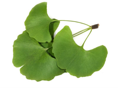 Beneficios del Ginkgo biloba