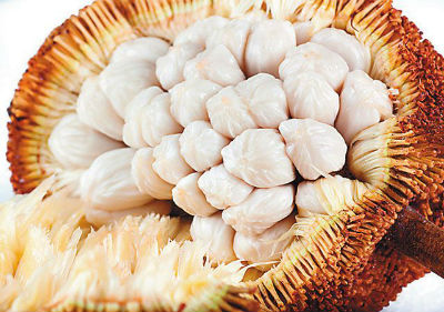 Marang