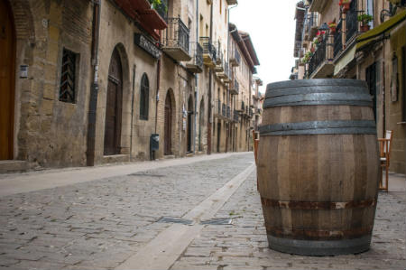 organizar camino de santiago