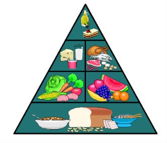 piramide alimenticia