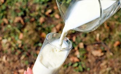 Leche orgánica Vs leche convencional