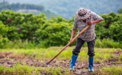 Agricultor