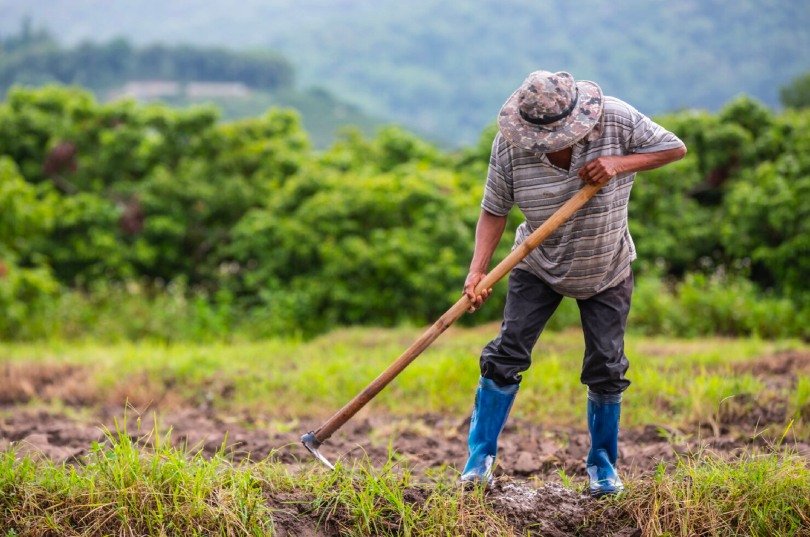 Agricultor